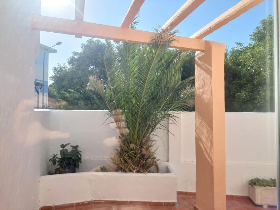 Piscina, Wifi, Patio Con Vistas Apartment Tarifa Ngoại thất bức ảnh