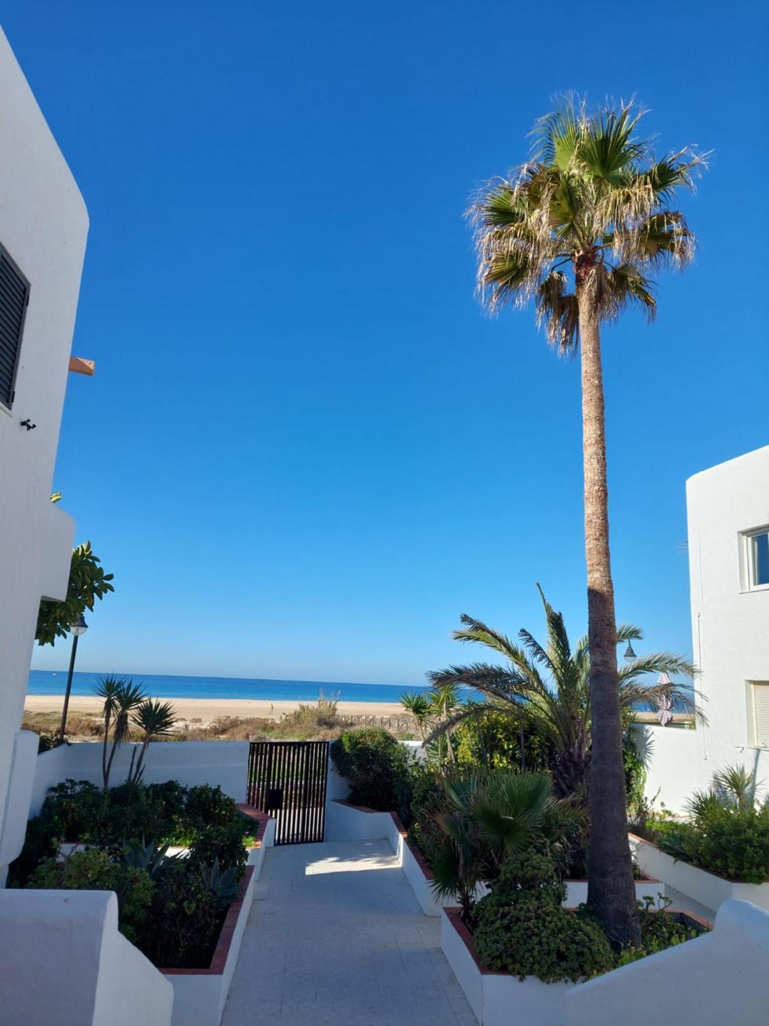Piscina, Wifi, Patio Con Vistas Apartment Tarifa Ngoại thất bức ảnh