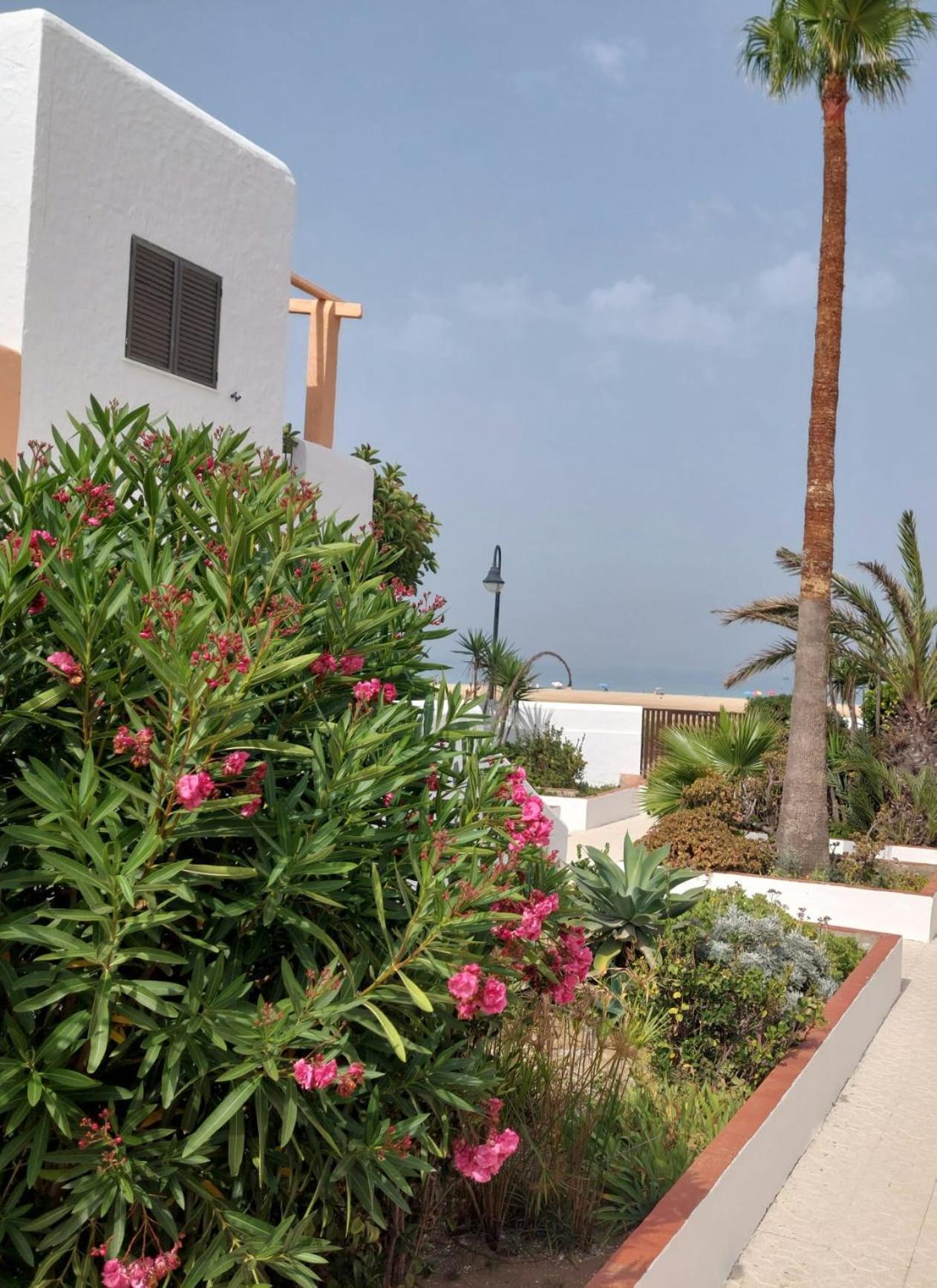 Piscina, Wifi, Patio Con Vistas Apartment Tarifa Ngoại thất bức ảnh